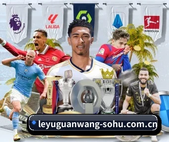 乐鱼官网 APP - LEYU SPORTS