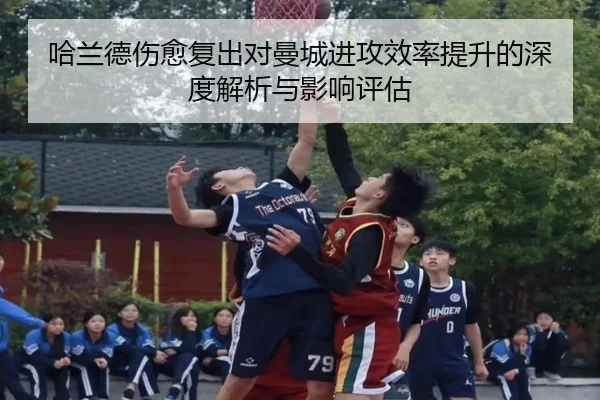 img_1791657665683_949_0_395.jpg（LEYU SPORTS）